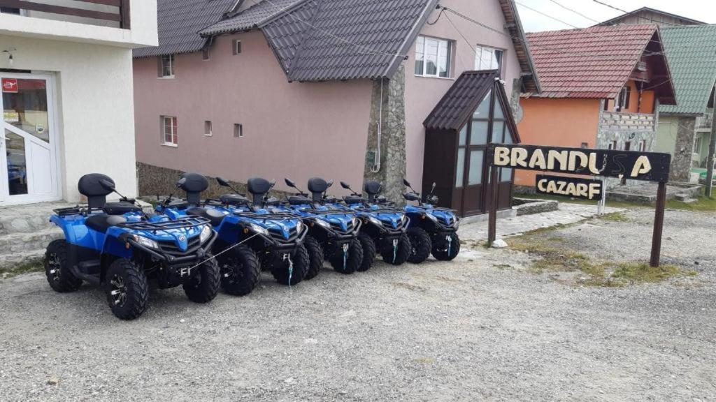 Pensiunea Brandusa Рынка Экстерьер фото